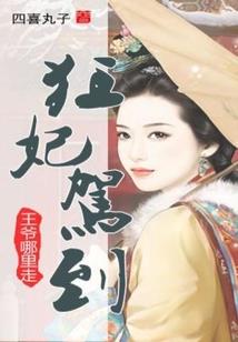 ns 成人游戏