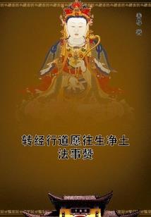 PS4国行版a2