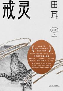小个子微胖职业连衣裙