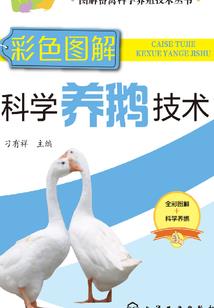 梦幻西游生肖传说