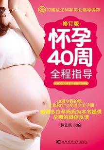 王者荣耀同人腹肌