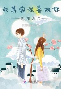 海贼无双mod教程