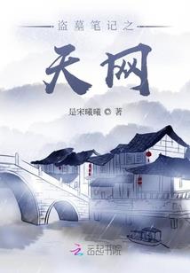 anydirector 破解版