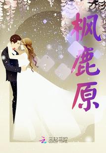 战士盔甲职业任务