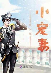 我的世界雕塑建筑猫