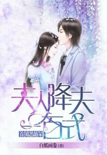 梦幻西游电脑版法防阵法