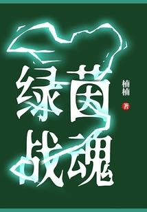 中国魔兽小选手视频