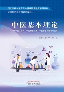 破解版雷龙战机