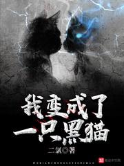 建筑使用属性分类