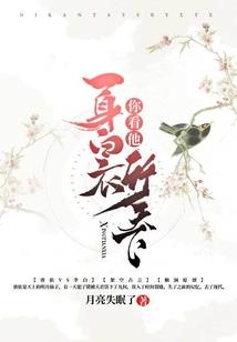 梦幻西游变异盗号