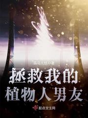 神武4速攻贪狼属性选择