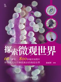 我的世界冬天造房子指令