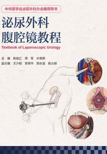 wps苹果系统破解版