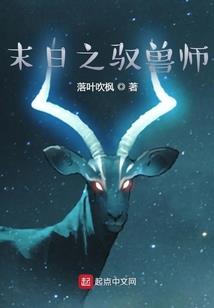 宠物小精灵属性性格推荐