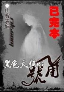 职业滑板秘籍