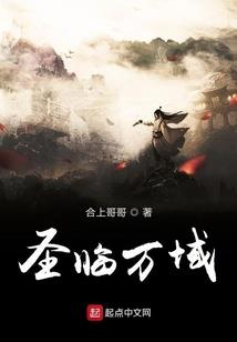 宠物属性面板魔兽