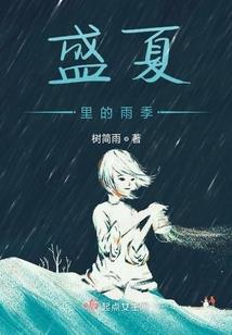 翼车装备股票