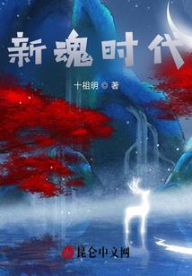 高级职业技能培训
