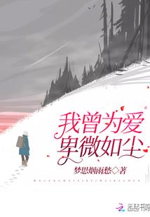 ro手游 永恒之翼