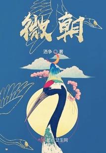 钻石网吧领皮肤