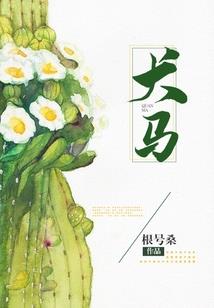 天刀游戏属性介绍