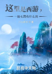 我的世界史蒂夫h本子