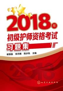 私人订制皮肤王者