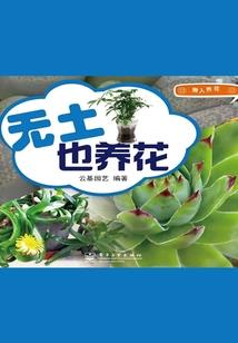 lol骑士皮肤