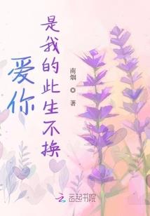 求生之路mod手枪