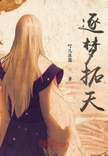 我的世界假冒伪劣衣服