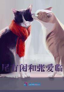 造梦西游装备解说图