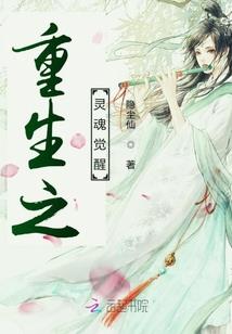 设置自动编号属性在哪里