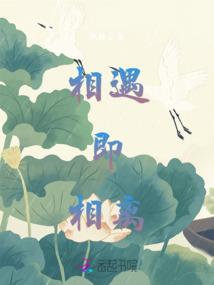 lol慎大招
