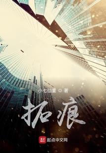 王者荣耀电刀纯净