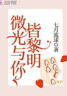 卡车皮肤模板