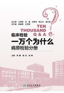 王者里怎样自选装备名字