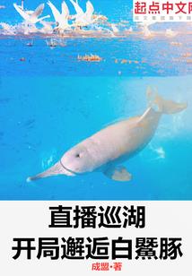 mod 模型