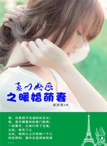 剑灵雪域攻略