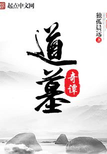 小偷师游戏