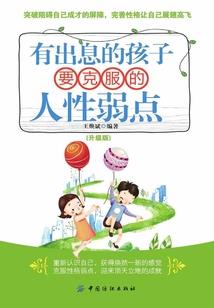 我的世界铁拳虎