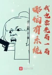 mc咋用mod