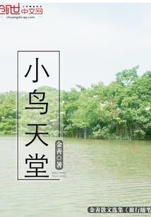 泰国哪里卖ps4