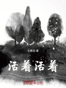 elcipse 破解版