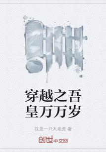 Ps4视角放大
