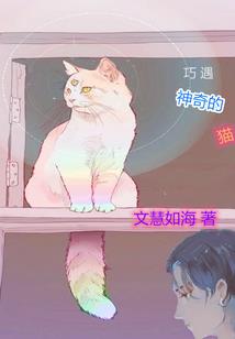 审计人员的职业规划