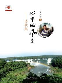 苹果手机双卡打王者