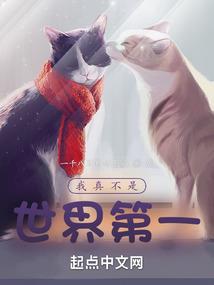 魔兽开飞行