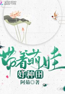 梦幻西游老王加点