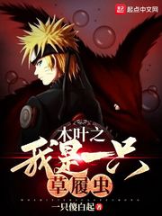 电脑版视频破解版