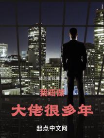 辛普森mod头盔镜片